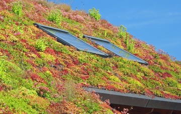 Mearbeck living roof systems